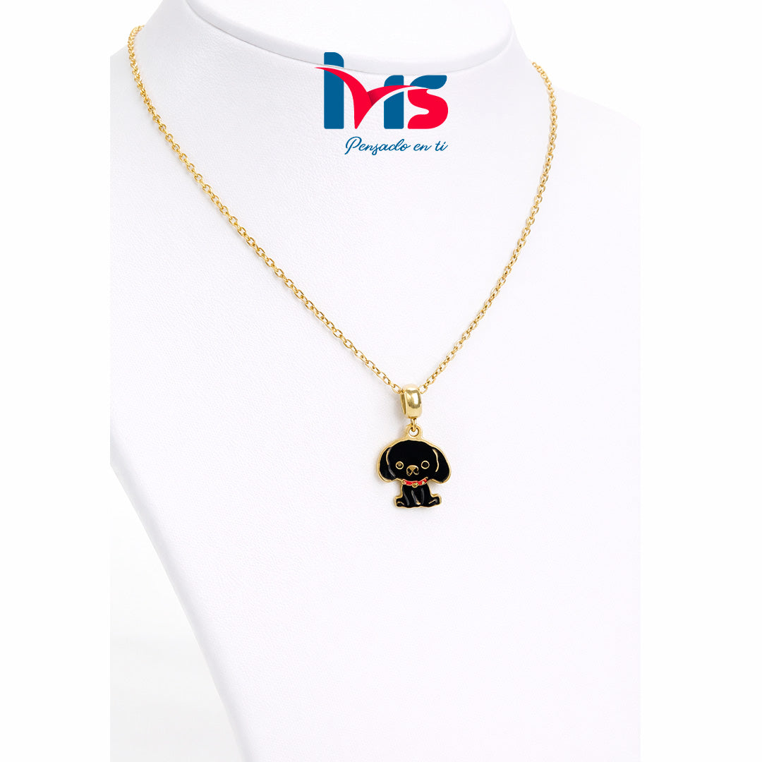 🐾 Collar Perrito Negro en Acero Inoxidable 304.