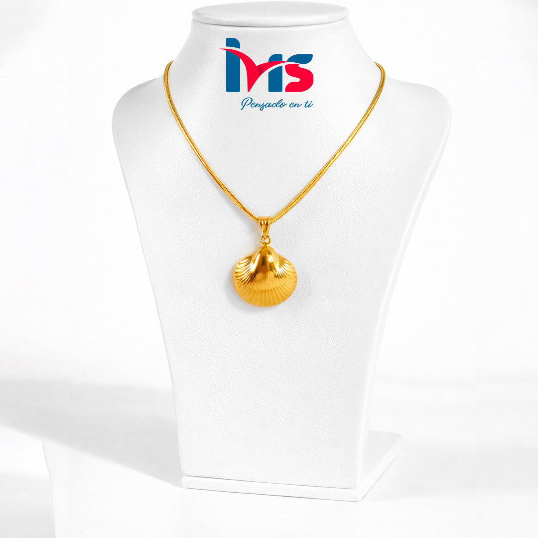 ✨ Collar Dije Concha Marina – Acero Quirúrgico 316L Enchapado en Oro 18K Waterproof